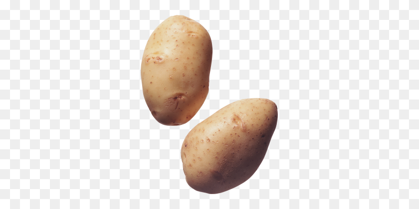 275x360 Potato Png Clipart - Potato PNG