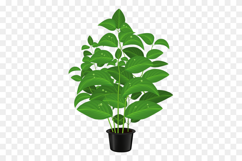 363x500 Potted Clipart - Potted Cactus Clipart