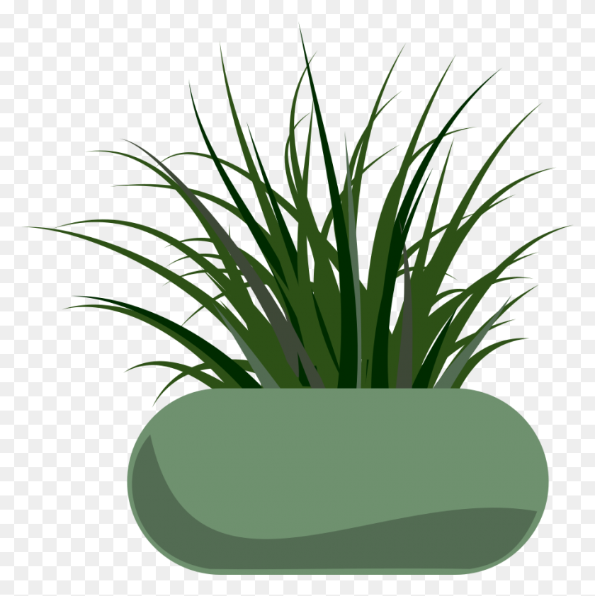 897x900 Potted Grass Png Clip Arts For Web - Grass PNG