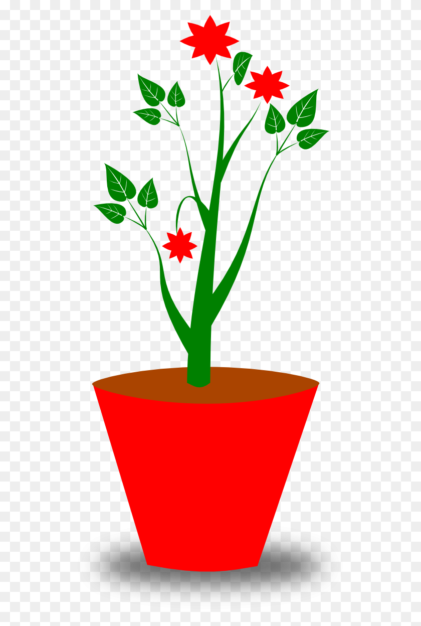 555x1188 Potted Plant - Tomato Clipart Black And White