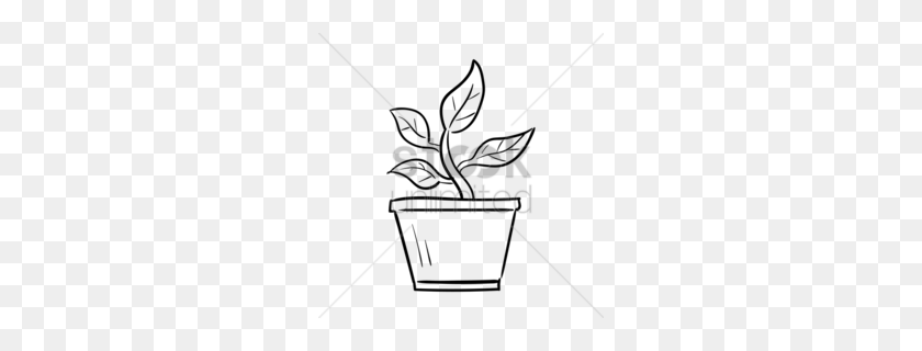 260x260 Potted Plant Clipart - Flower Pot Clipart Black And White