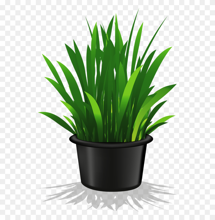 544x800 Potted Plant Cliparts Free Download Clip Art - Potted Plant Clipart