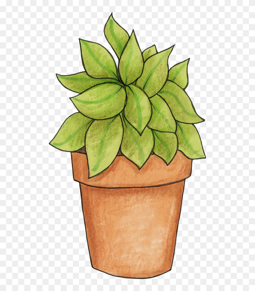 Растения для срисовки в горшках с фоном