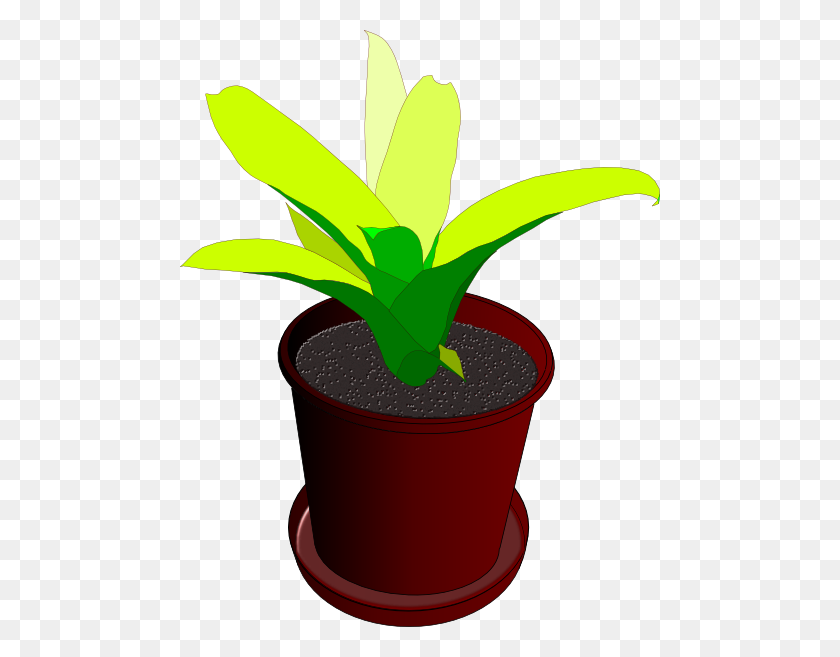 480x597 Potted Plant Png Large Size - Potted Plant PNG