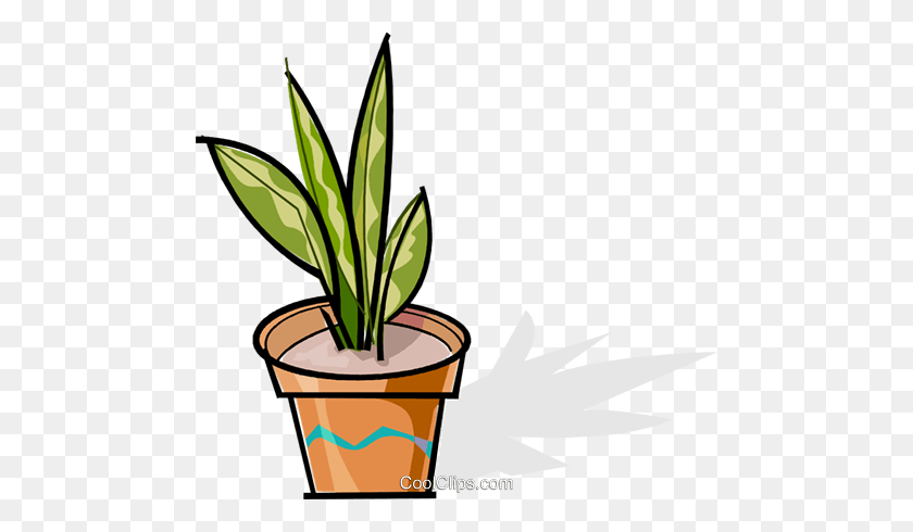 480x430 Potted Plant Royalty Free Vector Clip Art Illustration - Potted Plant PNG