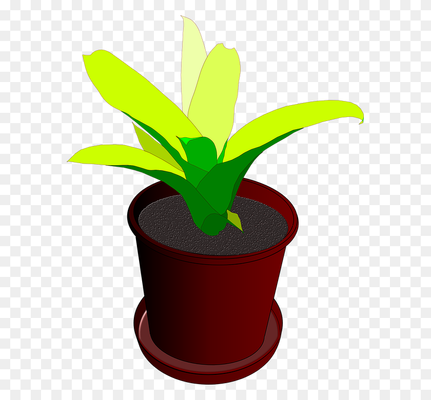 579x720 Potted Plants Clipart Black And White - Plant Clipart Black And White