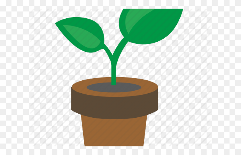 640x480 Potted Plants Clipart Land Plant - Potted Plant PNG