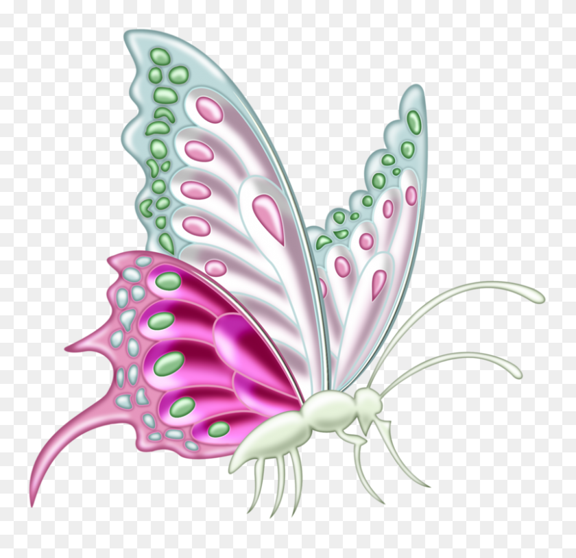 800x774 Pps Butterfly, Clip Art And Butterfly Crafts - Cabbage Clipart