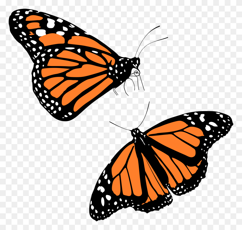 2137x2022 Ppt Module - Butterfly Vector PNG
