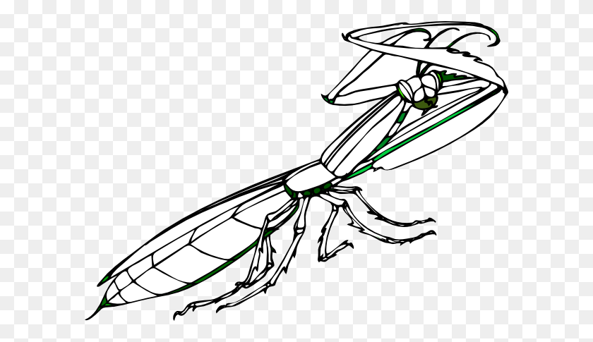 600x425 Praying Mantis Clipart Clip Art Images - Mosquito Clipart Black And White