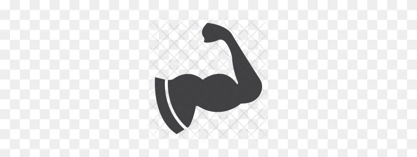 256x256 Premium Arm Muscle Icon Download Png - Muscle Arm PNG