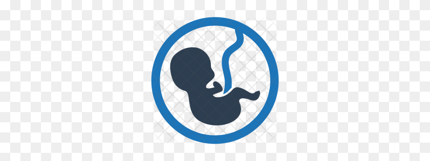 256x256 Premium Baby Icon Download Png - Fetus PNG