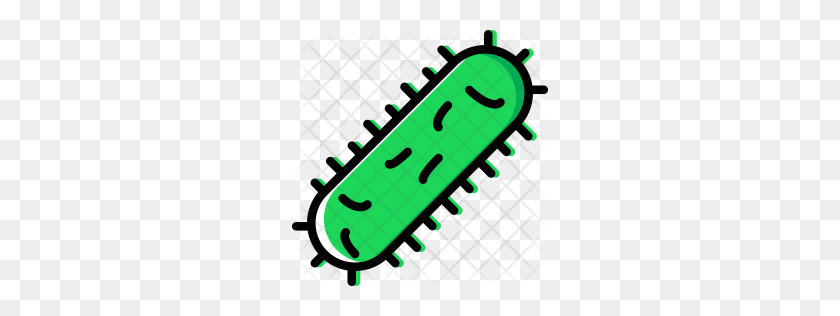256x256 Premium Bacteria Icon Download Png - Bacteria PNG