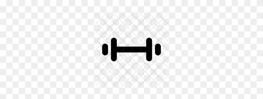256x256 Premium Barbell, Dumbell, Fitness, Weight Icon Download - Weights PNG