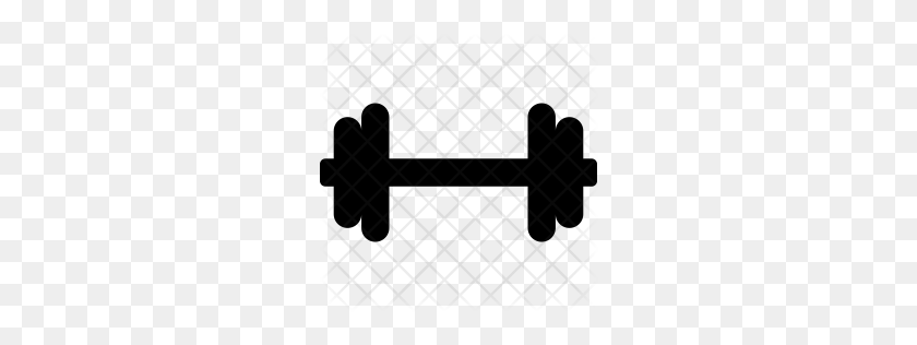 256x256 Premium Barbell, Dumbell, Fitness, Weight Icon Download - Dumbell PNG