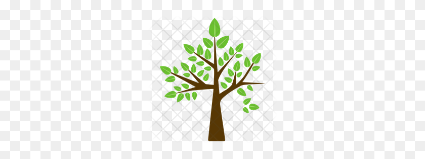 256x256 Premium Birch Tree Icon Download Png - Birch Tree PNG