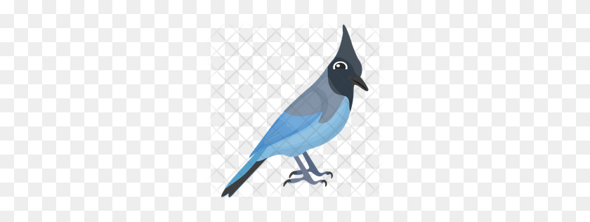 256x256 Premium Blue Jay Icon Download Png - Blue Jay PNG