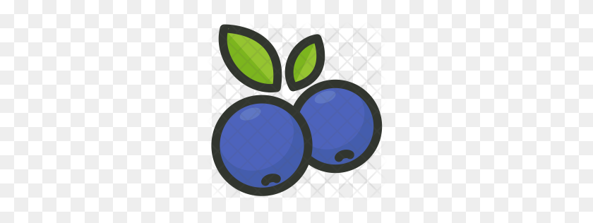 256x256 Premium Blueberry Icon Download Png - Blueberries PNG
