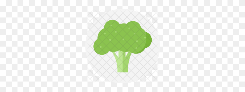256x256 Premium Broccoli, Green, Plant, Vegetable, Cabbage, Food, Spinach - Cabbage PNG