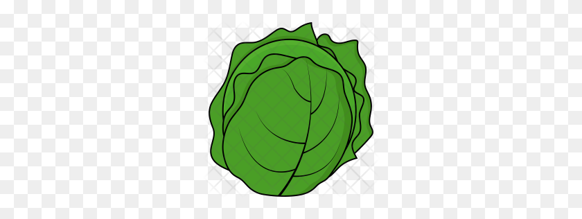 Premium Cabbage Icon Download Png - Cabbage PNG