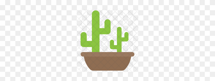 256x256 Icono De Cactus Premium Descargar Png - Cactus Png