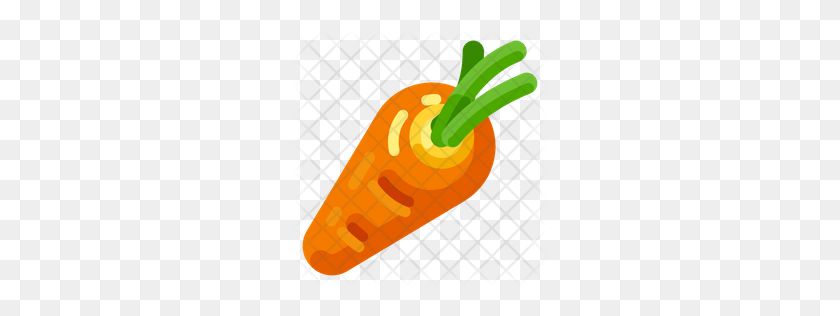 256x256 Значок Премиум Морковь Скачать Png - Морковь Png