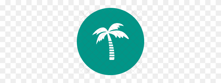 256x256 Premium Coconut Tree Icon Download Png - Coconut PNG