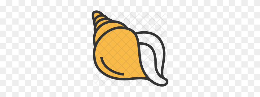 256x256 Premium Conch Icon Descargar Png - Conch Shell Png