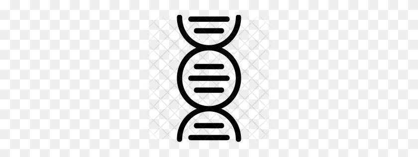 256x256 Premium Dna Icon Download Png, Formats - Dna Strand PNG