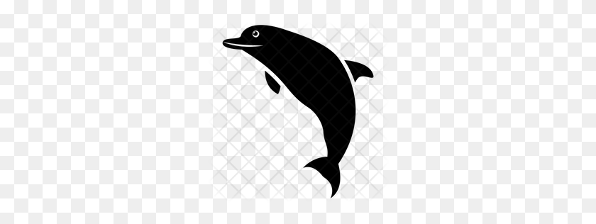 256x256 Premium Dolphn Download Png - Dolphin PNG