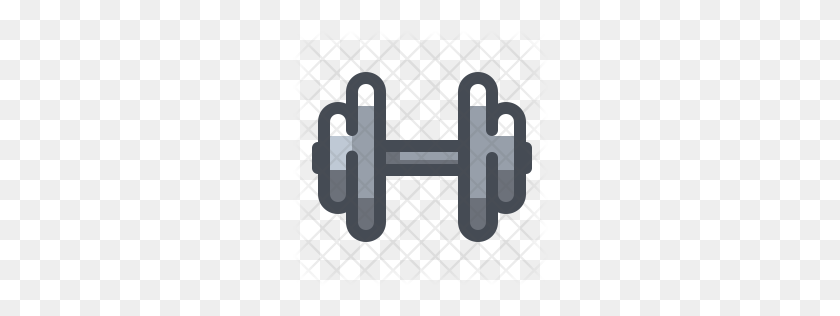 256x256 Premium Dumbbell Icon Download Png - Dumbbell PNG