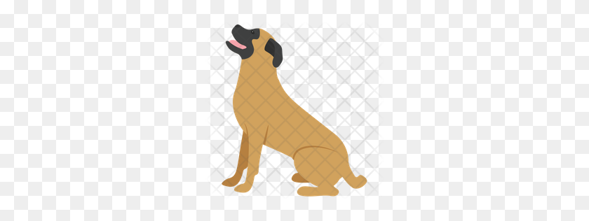 256x256 Premium English Mastiff Icon Download Png - Great Dane PNG