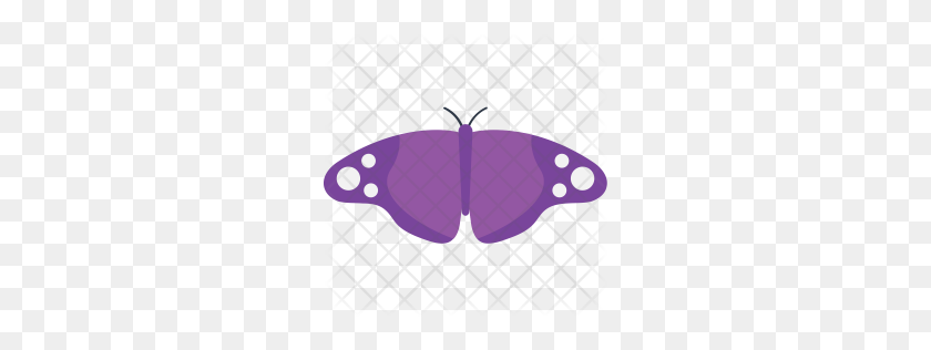 256x256 Premium Erebid Moth Mariposa Icono Descargar Png - Polilla Png