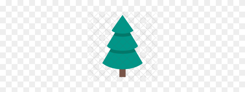 256x256 Premium Evergreen Icon Download Png - Evergreen PNG