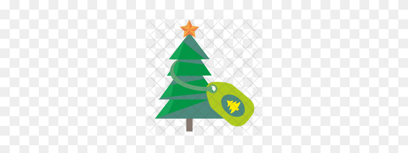 256x256 Premium Fir Tree Icon Download Png - Fir Tree PNG