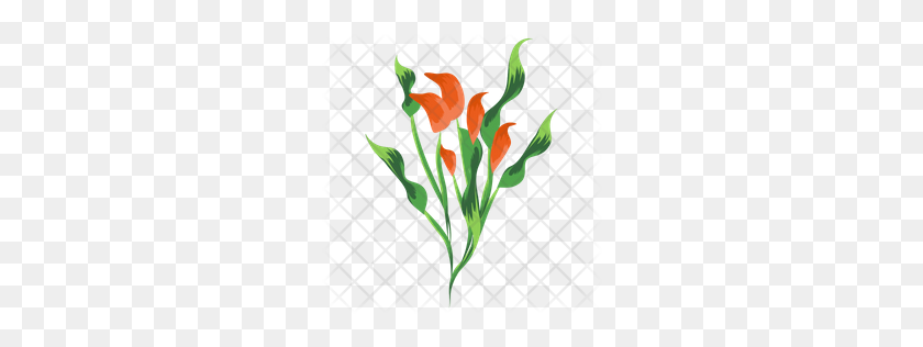 256x256 Premium Flower, Calla, Lily, Blossom, Nature, Spring Icon Download - Calla Lily PNG