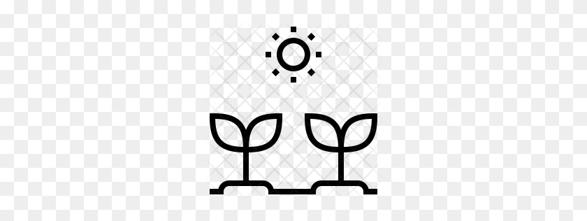 256x256 Premium Grow Seed Icon Download Png - Seed Packets Clipart