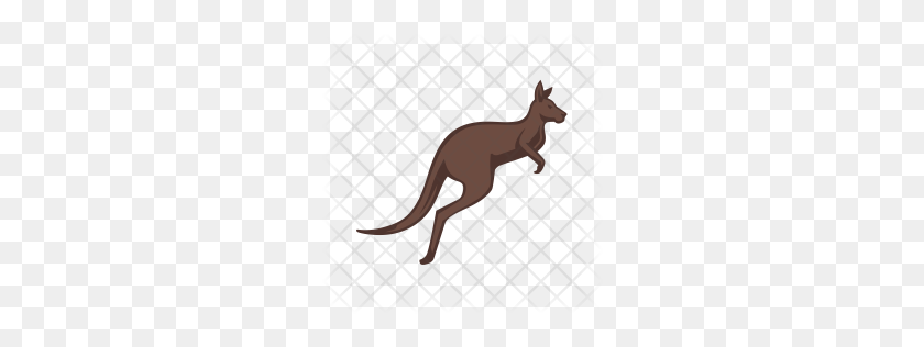 256x256 Premium Kangaroo Icon Download Png - Kangaroo PNG