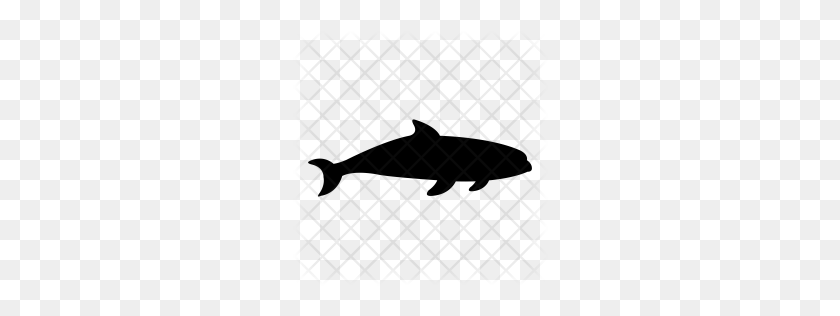 256x256 Premium Killer Whale Icon Download Png - Killer Whale PNG