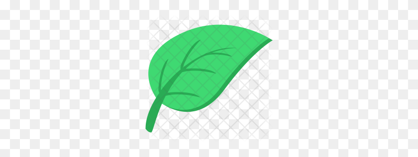 256x256 Premium Leaf Icon Descargar Png - Monstera Leaf Clipart
