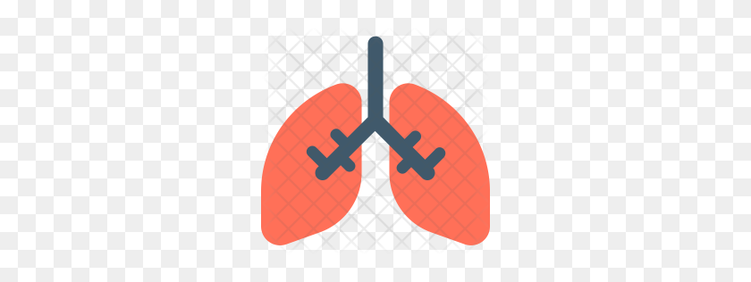 256x256 Premium Lungs Icon Download Png - Lungs PNG