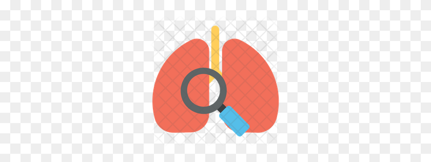 256x256 Premium Lungs Investigation Icon Download Png - Lungs PNG