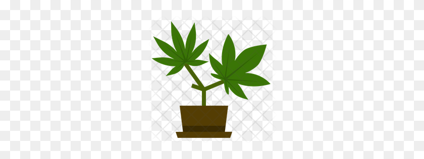 256x256 Icono De Hoja De Marihuana Premium Descargar Png - Planta De Marihuana Png