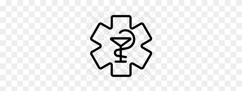256x256 Premium Medical Icon Download Png - Medical Icon PNG