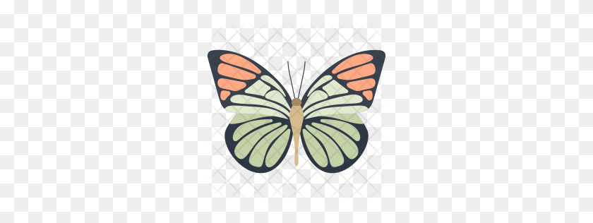 256x256 Premium Monarch Butterfly Icon Download Png - Monarch Butterfly PNG