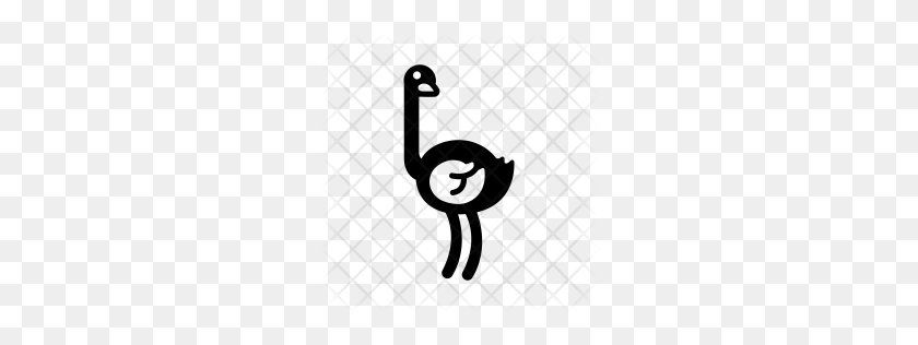 256x256 Premium Ostrich Icon Download Png - Ostrich PNG