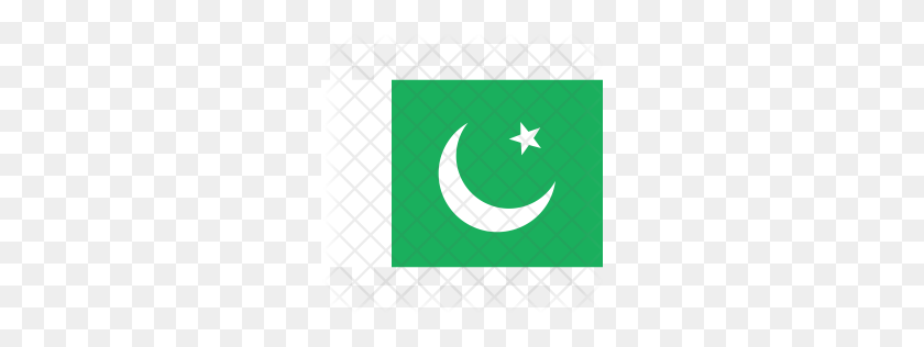 256x256 Bandera De Pakistán Png