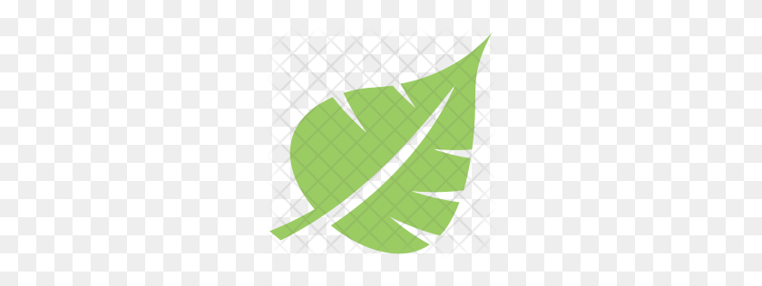 256x256 Premium Palm Leaf Icon Descargar Png - Hoja De Palma Png
