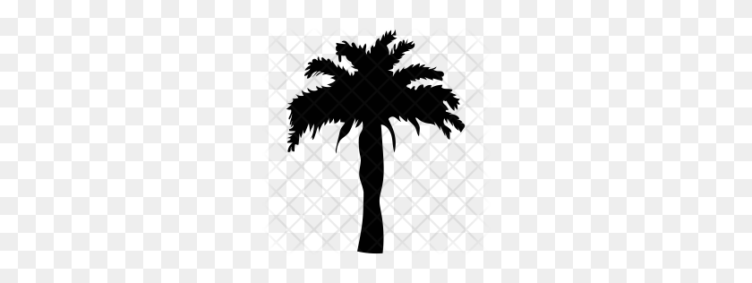 256x256 Premium Palm Tree Icon Download Png - Palm Tree Silhouette PNG