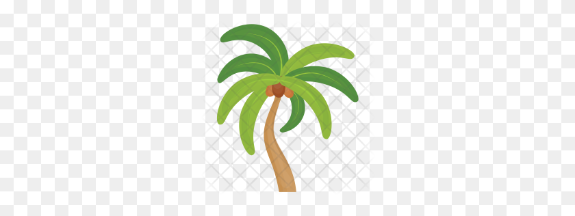 256x256 Значок Премиум Пальмы Скачать Png - Кокосовая Пальма Png